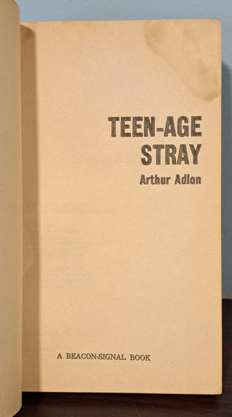 Teen-Age Stray