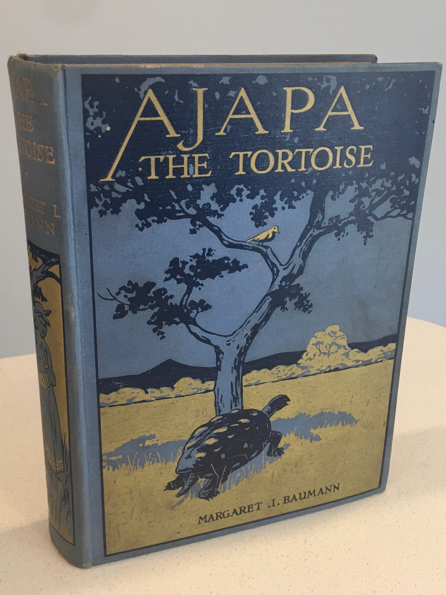 Ajapa The Tortoise: A Book of Nigerian Fairy Tales