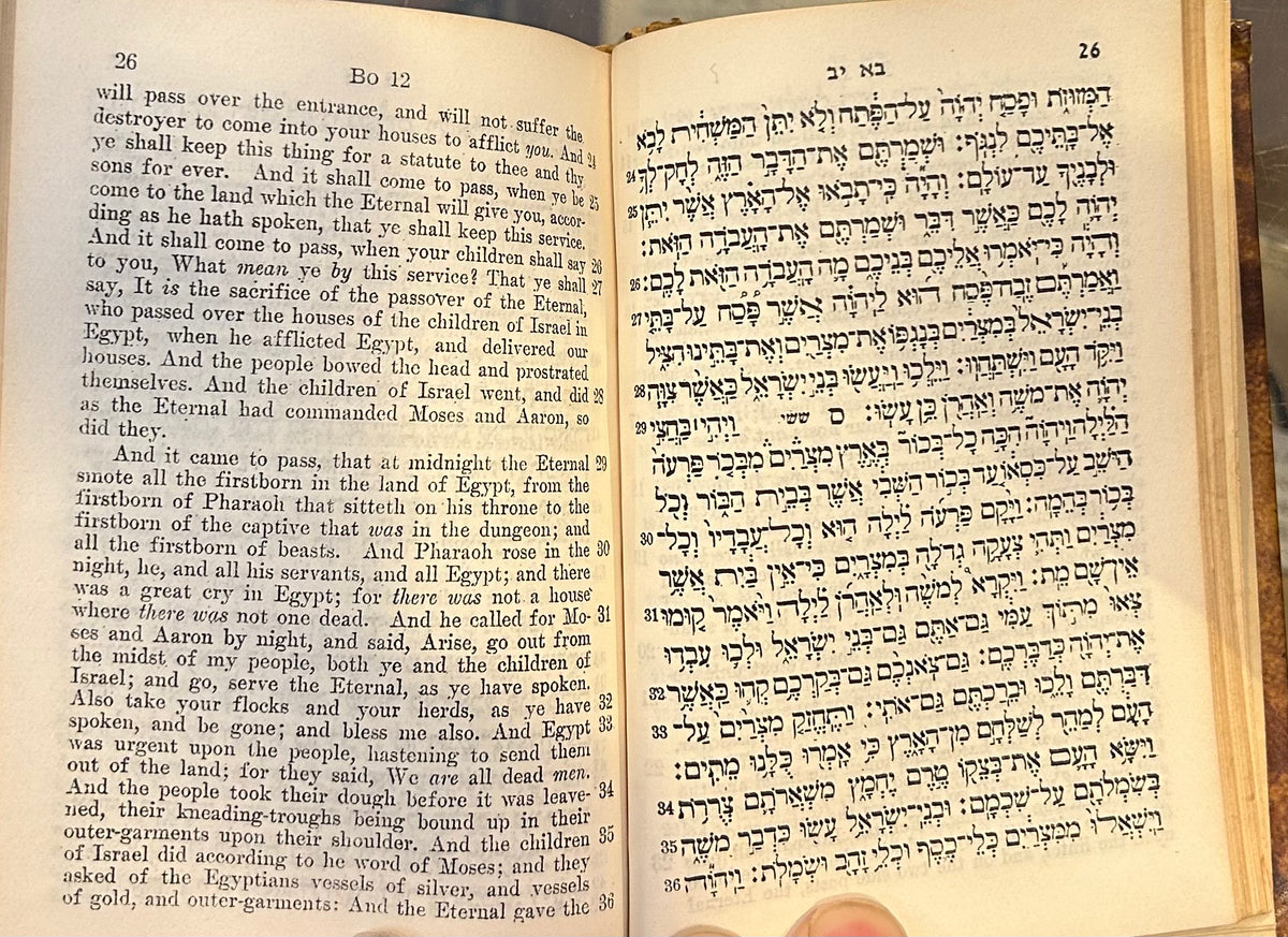 The hebrew bible with english translation the five books of moses ge