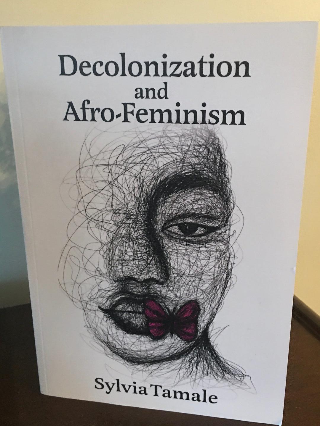 Decolonization Books Decolonization and Afro-Feminism – Juniper Books Inc